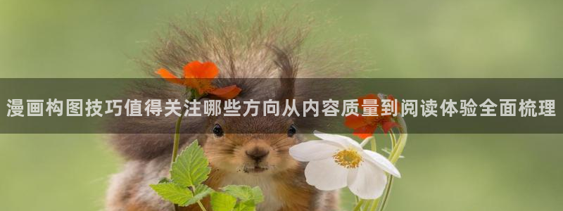 漫蛙漫画入口导航：漫画构图技巧值得关注哪些方向从内容质量到阅读体验全面梳理