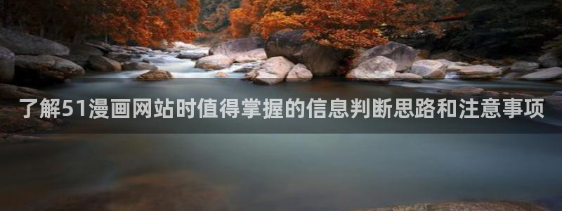 了解51漫画网站时值得掌握的信息判断思路和注意事项