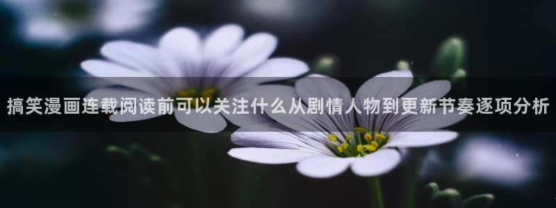 漫蛙漫画作品分类：搞笑漫画连载阅读前可以关注什么从剧情人物到更新节奏逐项分析