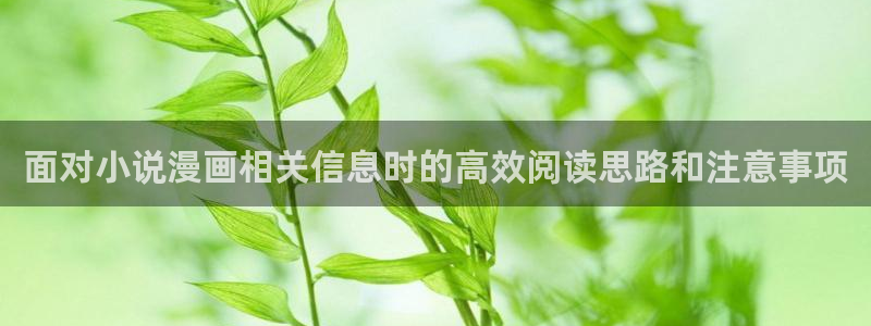 漫蛙漫画人气排行榜：面对小说漫画相关信息时的高效阅读思路和注意事项
