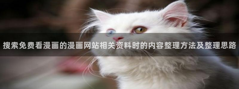 漫蛙漫画新漫画推荐：搜索免费看漫画的漫画网站相关资料时的内容整理方法及整理思路