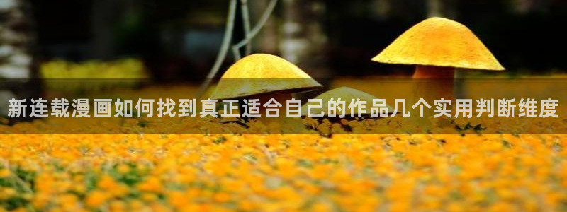 漫蛙漫画在线漫画：新连载漫画如何找到真正适合自己的作品几个实用判断维度