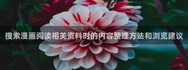 漫蛙漫画漫画阅读导航:搜索漫画阅读相关资料时的内容整理方法和浏览建议